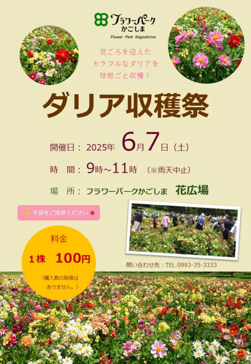 [終了]フラワーパークかごしま ダリア収穫祭2025 ～収穫の楽しさを体験～ - 鹿児島イベント情報
