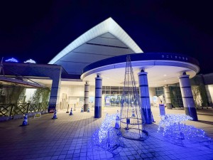 いおワールドかごしま水族館 夜の水族館 2026夏 ～夜だけの幻想的な水族館。ジンベエザメやクラゲ、バックヤードまで満喫～