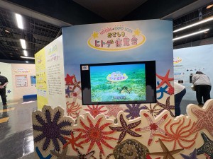 いおワールドかごしま水族館 夜の水族館 2026夏 ～夜だけの幻想的な水族館。ジンベエザメやクラゲ、バックヤードまで満喫～