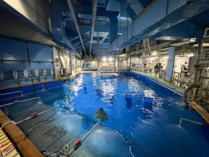 いおワールドかごしま水族館 夜の水族館 2026夏 ～夜だけの幻想的な水族館。ジンベエザメやクラゲ、バックヤードまで満喫～